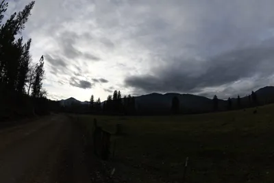 DSC_0045 (Large).JPG